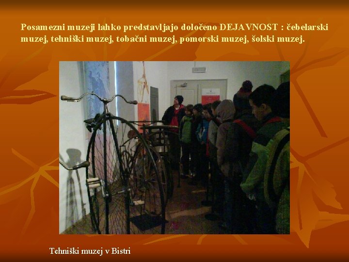 Posamezni muzeji lahko predstavljajo določeno DEJAVNOST : čebelarski muzej, tehniški muzej, tobačni muzej, pomorski