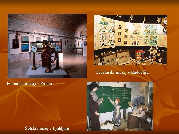 Čebelarski muzej v Radovljici Pomorski muzej v Piranu Šolski muzej v Ljubljani 