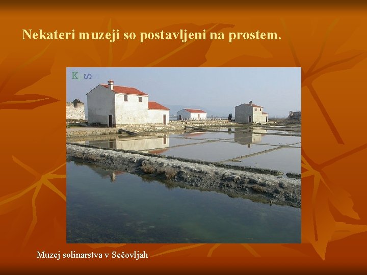 Nekateri muzeji so postavljeni na prostem. Muzej solinarstva v Sečovljah 