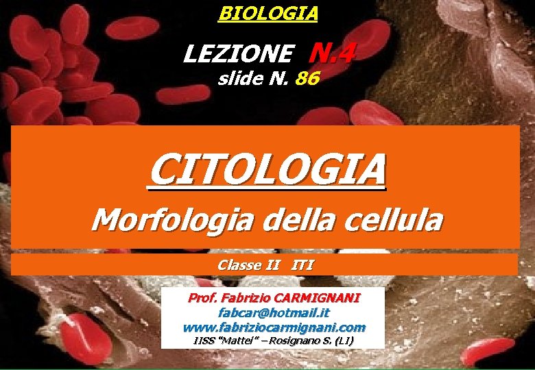 BIOLOGIA LEZIONE N. 4 slide N. 86 CITOLOGIA Morfologia della cellula Classe II ITI