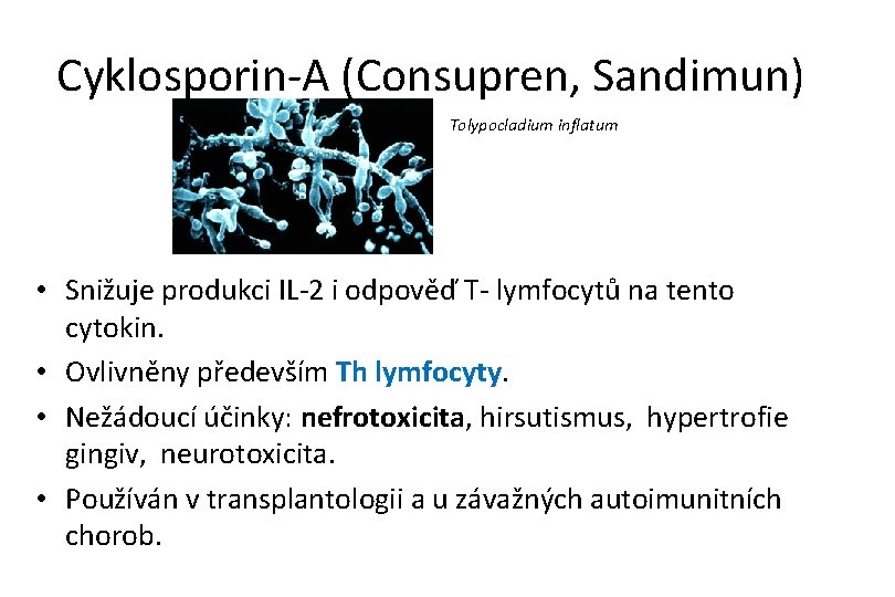 Cyklosporin-A (Consupren, Sandimun) Tolypocladium inflatum • Snižuje produkci IL-2 i odpověď T- lymfocytů na