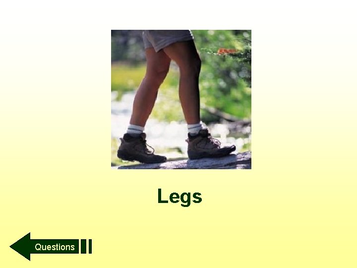 Legs Questions 