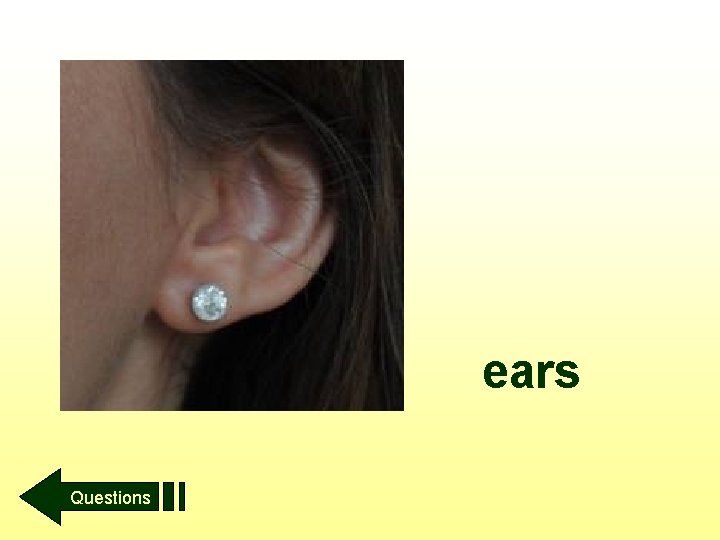 ears Questions 