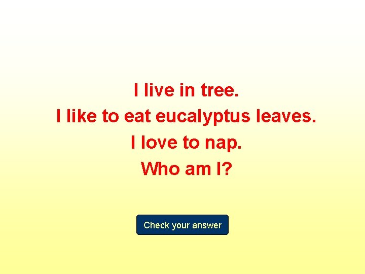 I live in tree. I like to eat eucalyptus leaves. I love to nap.