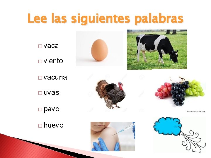 Lee las siguientes palabras � vaca � viento � vacuna � uvas � pavo