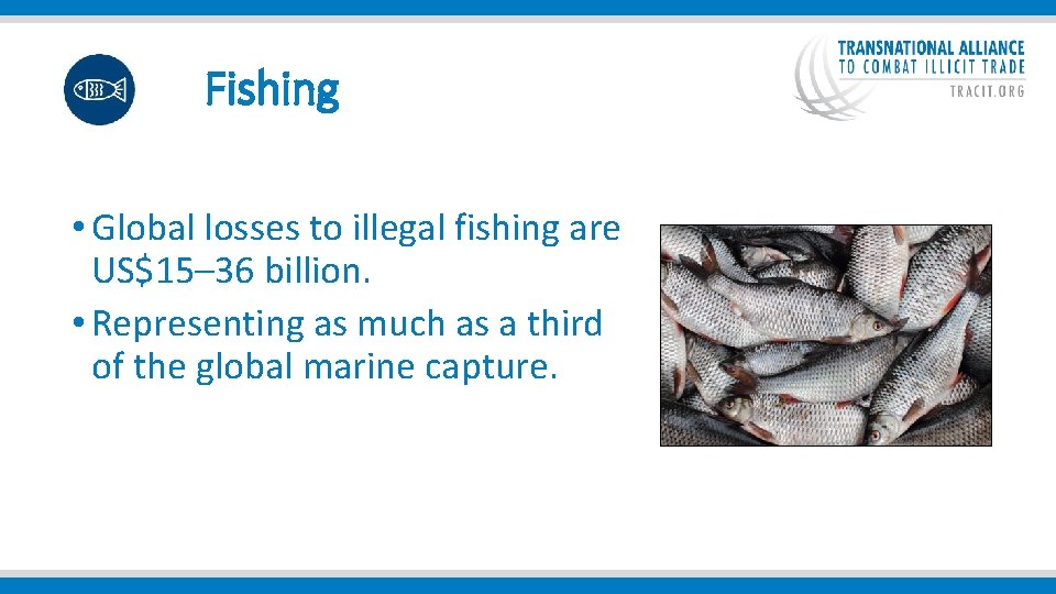  Fishing • Global losses to illegal fishing are US$15– 36 billion. • Representing