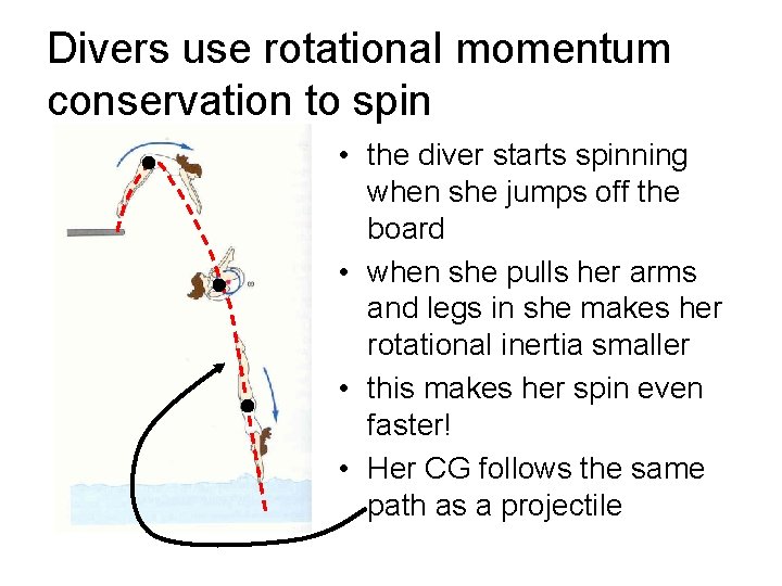 Divers use rotational momentum conservation to spin • the diver starts spinning when she