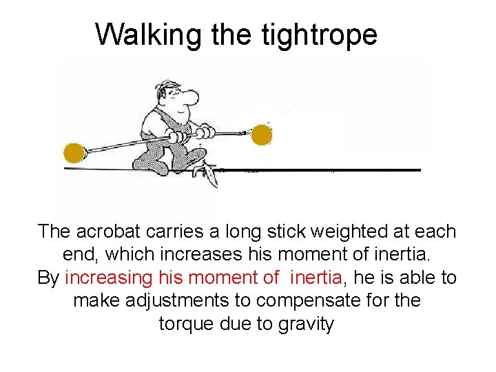 Walking the tightrope The acrobat carries a long stick weighted at each end, which