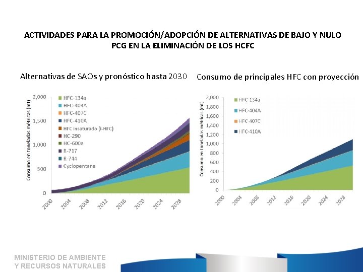 ACTIVIDADES PARA LA PROMOCIÓN/ADOPCIÓN DE ALTERNATIVAS DE BAJO Y NULO PCG EN LA ELIMINACIÓN