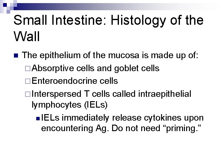 Small Intestine: Histology of the Wall n The epithelium of the mucosa is made