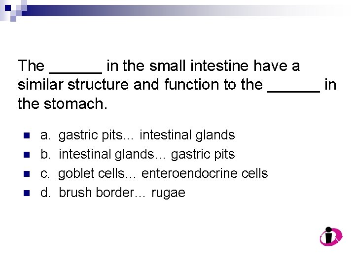 The ______ in the small intestine have a similar structure and function to the
