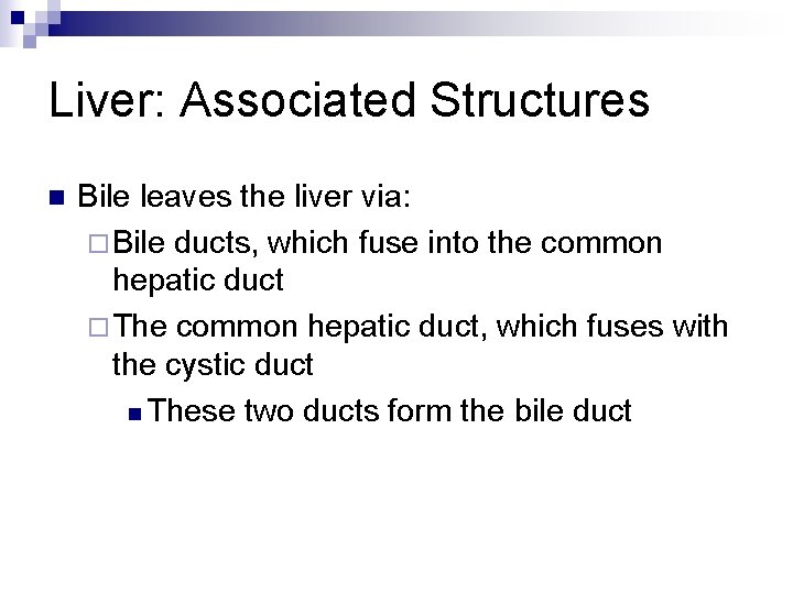 Liver: Associated Structures n Bile leaves the liver via: ¨ Bile ducts, which fuse