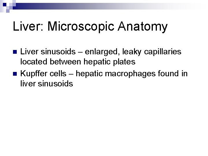 Liver: Microscopic Anatomy n n Liver sinusoids – enlarged, leaky capillaries located between hepatic