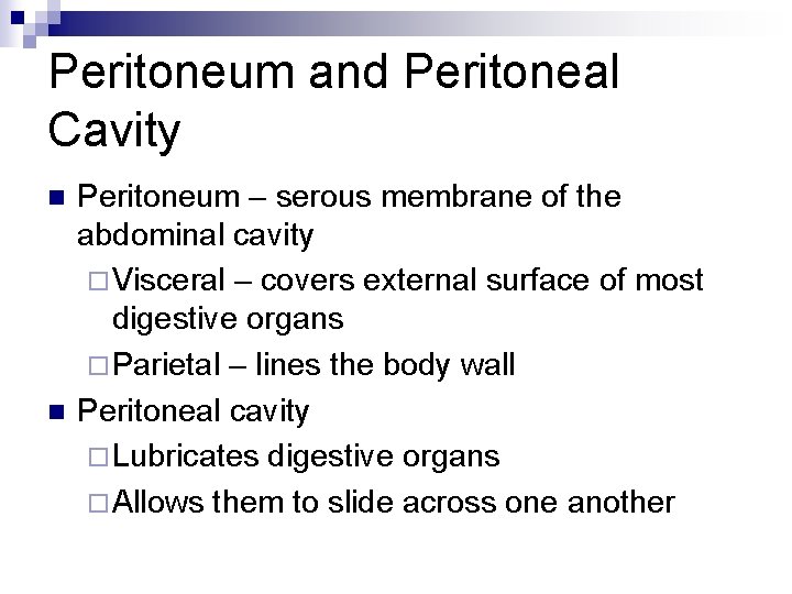 Peritoneum and Peritoneal Cavity n n Peritoneum – serous membrane of the abdominal cavity