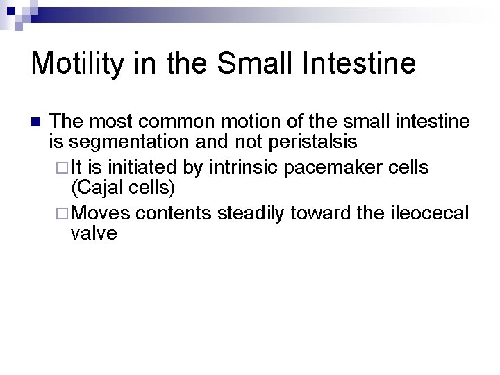 Motility in the Small Intestine n The most common motion of the small intestine