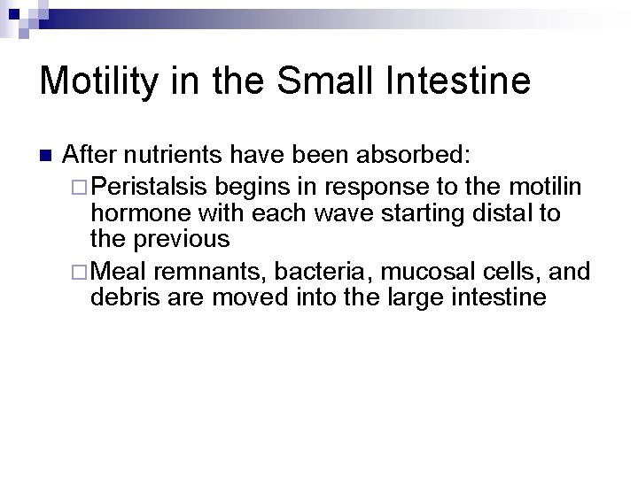 Motility in the Small Intestine n After nutrients have been absorbed: ¨ Peristalsis begins