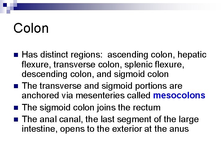 Colon n n Has distinct regions: ascending colon, hepatic flexure, transverse colon, splenic flexure,