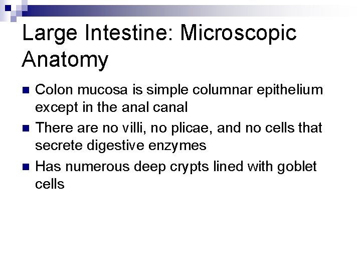 Large Intestine: Microscopic Anatomy n n n Colon mucosa is simple columnar epithelium except