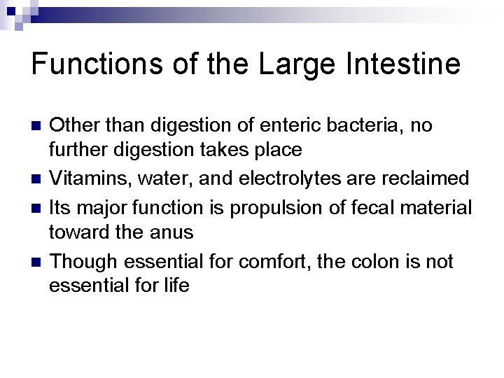 Functions of the Large Intestine n n Other than digestion of enteric bacteria, no