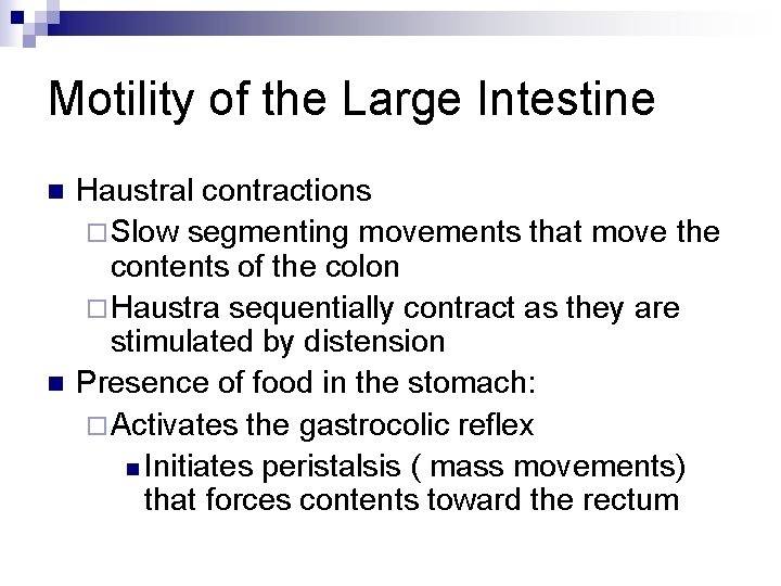 Motility of the Large Intestine n n Haustral contractions ¨ Slow segmenting movements that