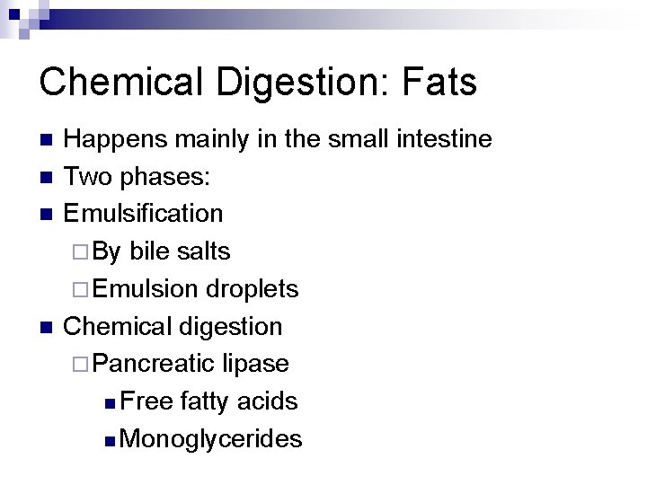 Chemical Digestion: Fats n n Happens mainly in the small intestine Two phases: Emulsification