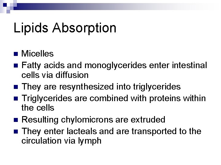 Lipids Absorption n n n Micelles Fatty acids and monoglycerides enter intestinal cells via