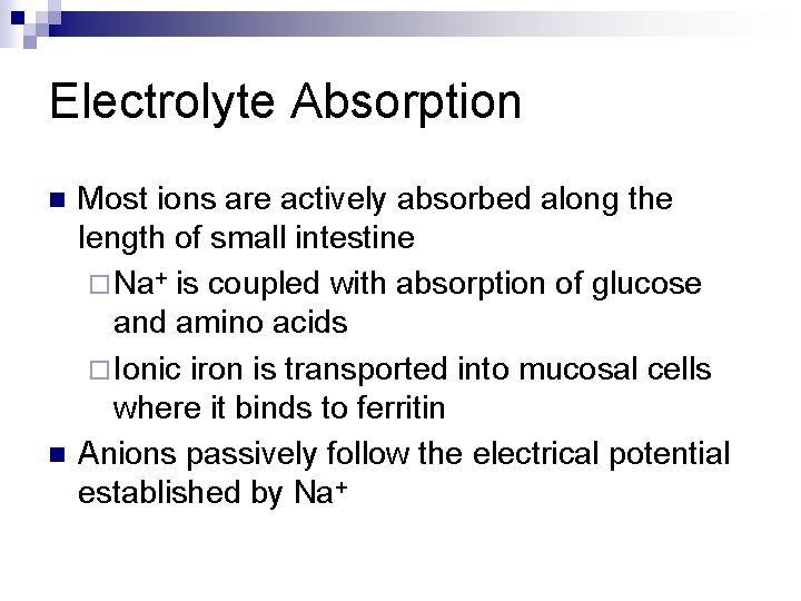 Electrolyte Absorption n n Most ions are actively absorbed along the length of small