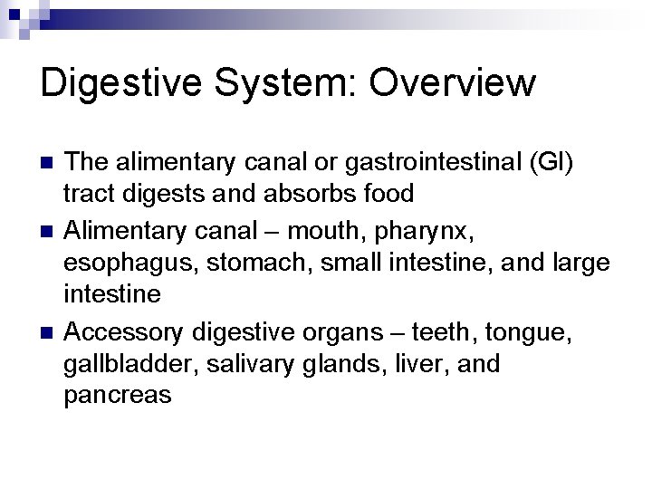 Digestive System: Overview n n n The alimentary canal or gastrointestinal (GI) tract digests
