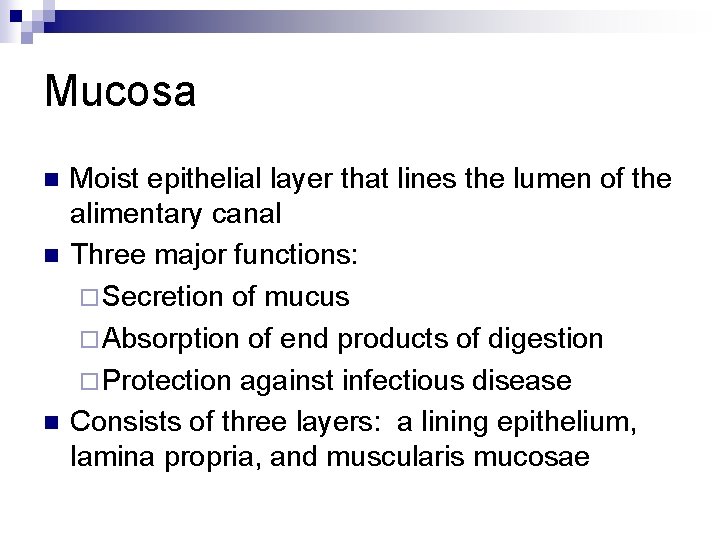 Mucosa n n n Moist epithelial layer that lines the lumen of the alimentary