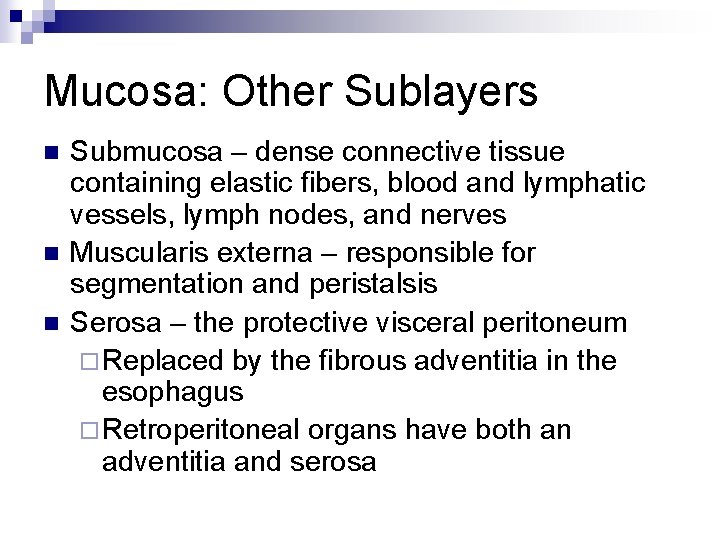 Mucosa: Other Sublayers n n n Submucosa – dense connective tissue containing elastic fibers,