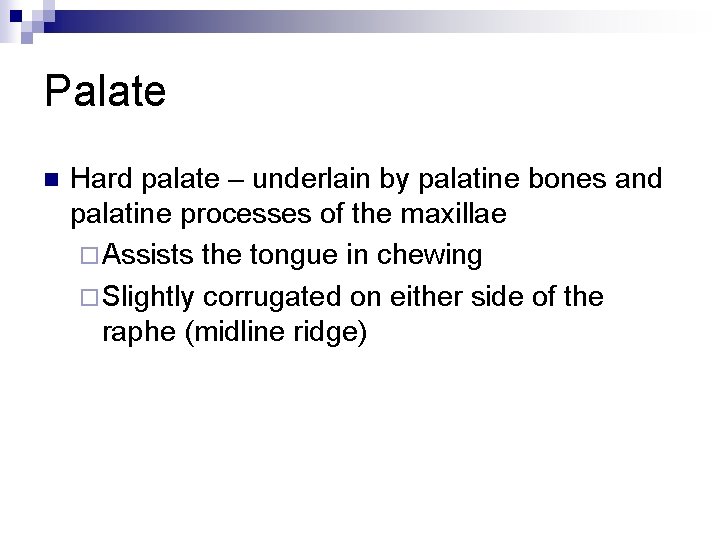 Palate n Hard palate – underlain by palatine bones and palatine processes of the