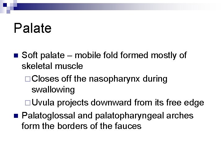 Palate n n Soft palate – mobile fold formed mostly of skeletal muscle ¨