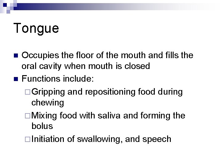 Tongue n n Occupies the floor of the mouth and fills the oral cavity