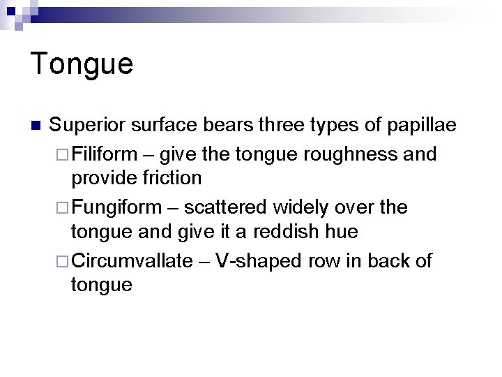 Tongue n Superior surface bears three types of papillae ¨ Filiform – give the
