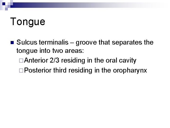 Tongue n Sulcus terminalis – groove that separates the tongue into two areas: ¨