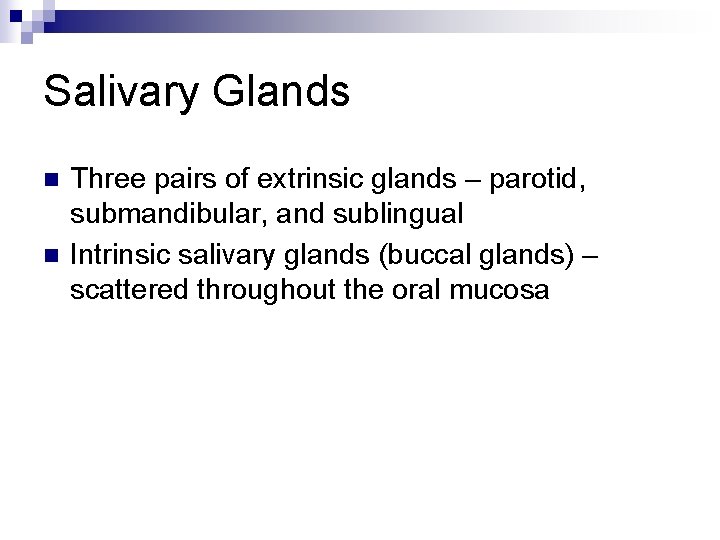 Salivary Glands n n Three pairs of extrinsic glands – parotid, submandibular, and sublingual