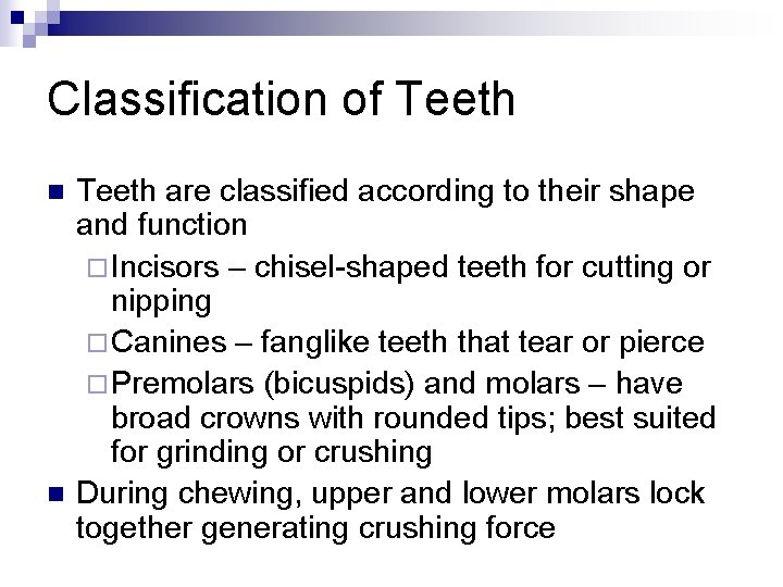 Classification of Teeth n n Teeth are classified according to their shape and function
