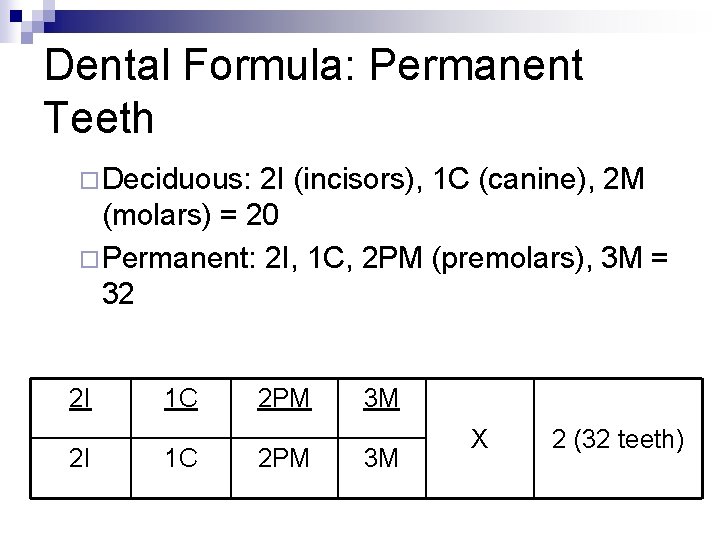 Dental Formula: Permanent Teeth ¨Deciduous: 2 I (incisors), 1 C (canine), 2 M (molars)