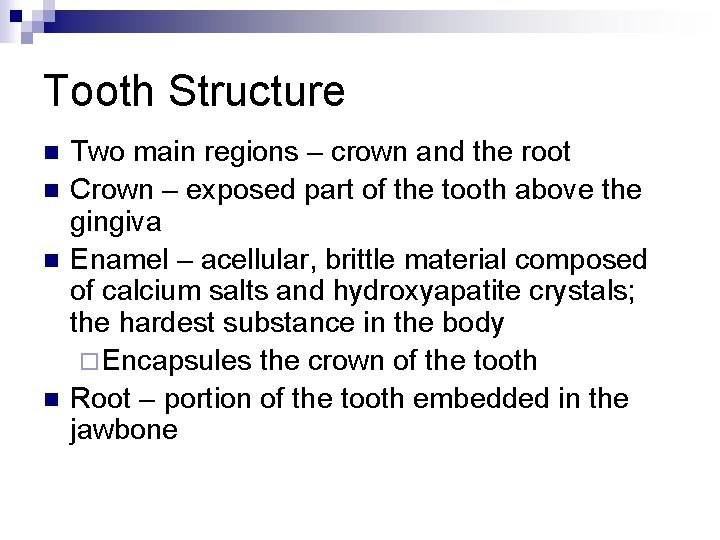 Tooth Structure n n Two main regions – crown and the root Crown –