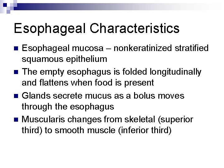 Esophageal Characteristics n n Esophageal mucosa – nonkeratinized stratified squamous epithelium The empty esophagus