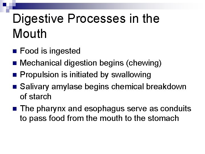 Digestive Processes in the Mouth n n n Food is ingested Mechanical digestion begins