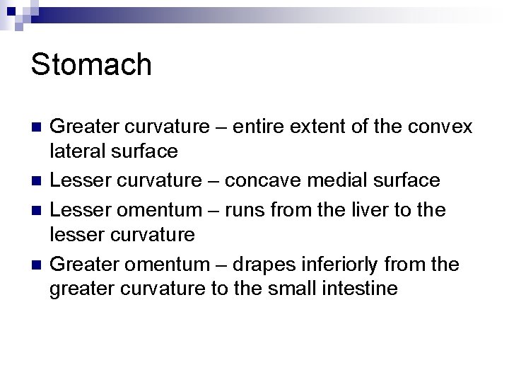Stomach n n Greater curvature – entire extent of the convex lateral surface Lesser
