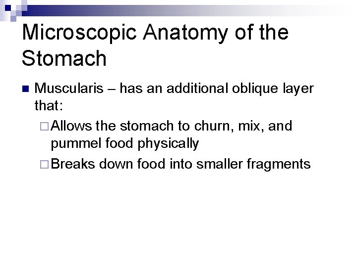 Microscopic Anatomy of the Stomach n Muscularis – has an additional oblique layer that: