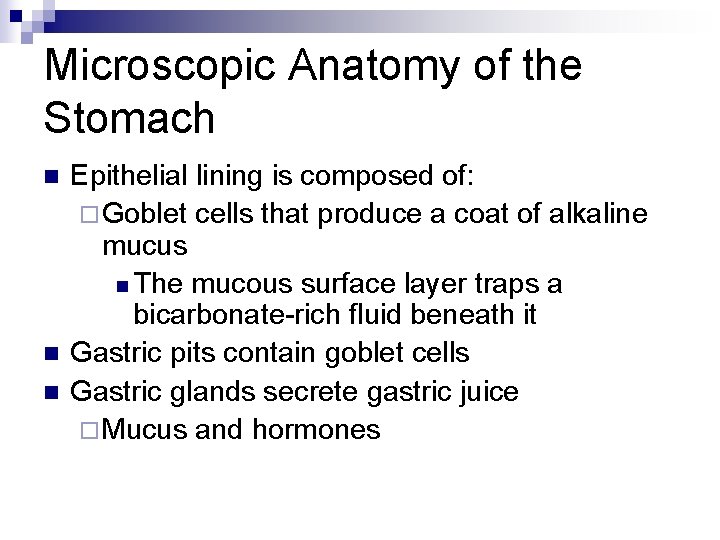 Microscopic Anatomy of the Stomach n n n Epithelial lining is composed of: ¨