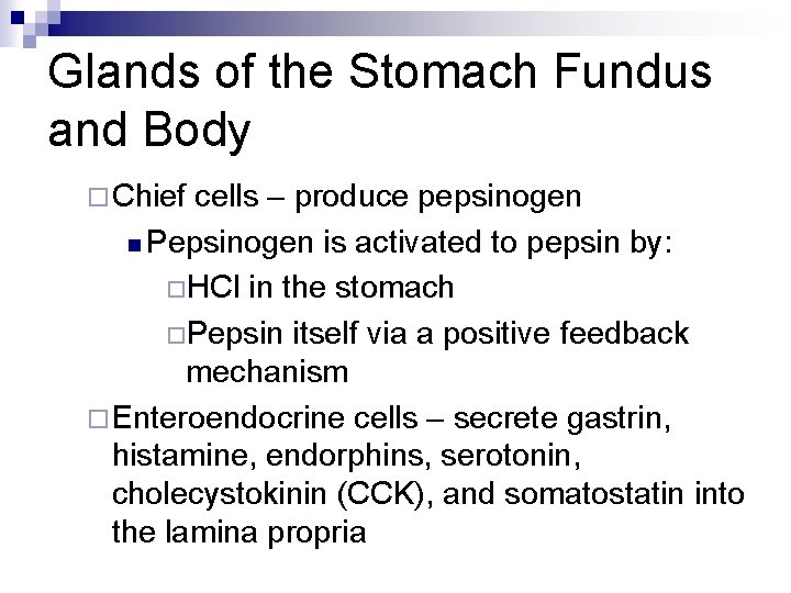 Glands of the Stomach Fundus and Body ¨ Chief cells – produce pepsinogen n