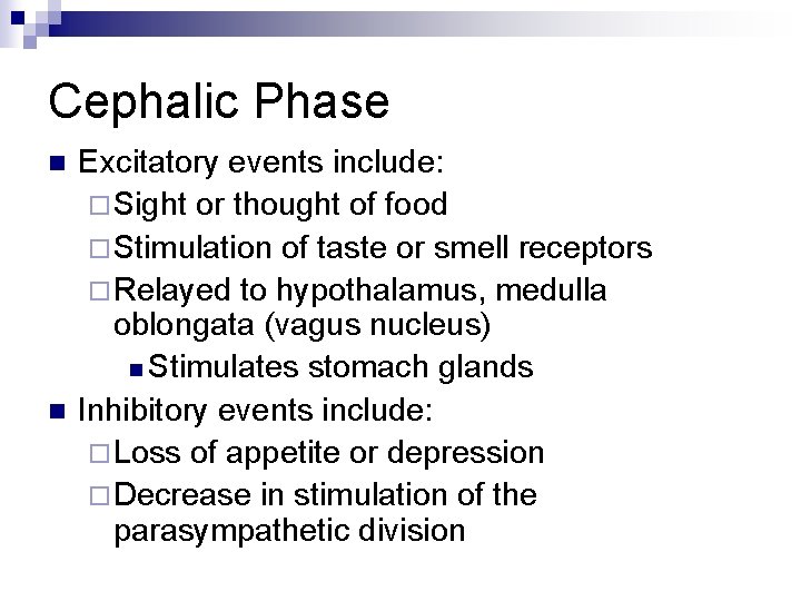Cephalic Phase n n Excitatory events include: ¨ Sight or thought of food ¨