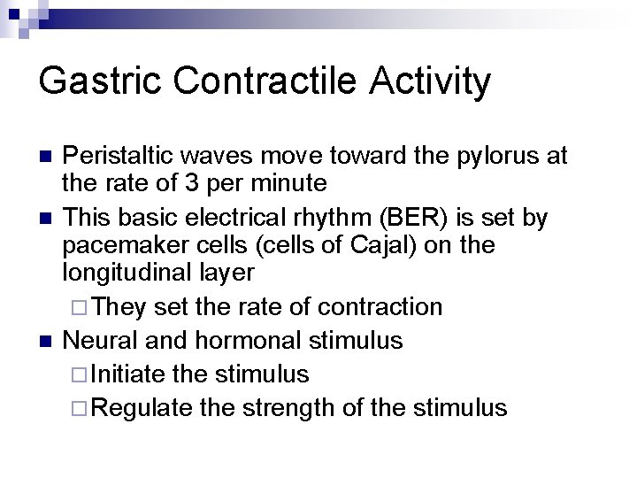 Gastric Contractile Activity n n n Peristaltic waves move toward the pylorus at the