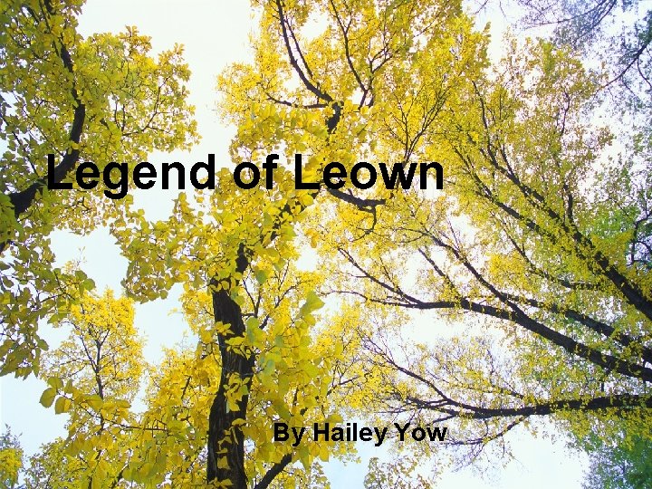 Legend of Leown By Hailey Yow 