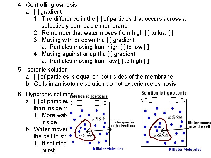 4. Controlling osmosis a. [ ] gradient 1. The difference in the [ ]