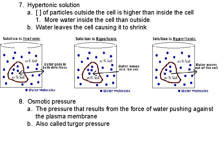 7. Hypertonic solution a. [ ] of particles outside the cell is higher than